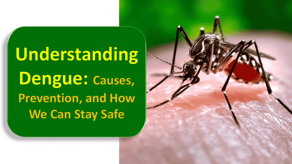 🌍 Understanding Dengue: Causes, Prevention, and How We Can Stay Safe